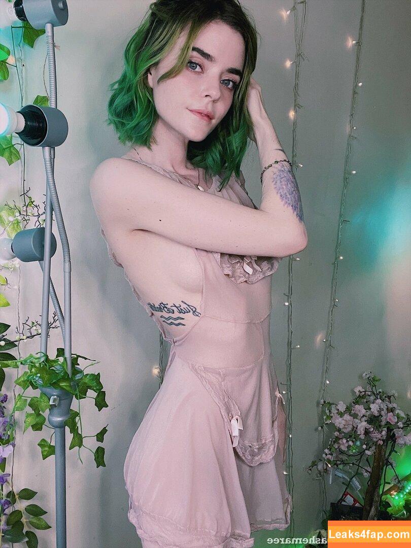 Ashe Maree / ashemaree / ashemareexoxo / kittenisodd leaked photo photo #0926