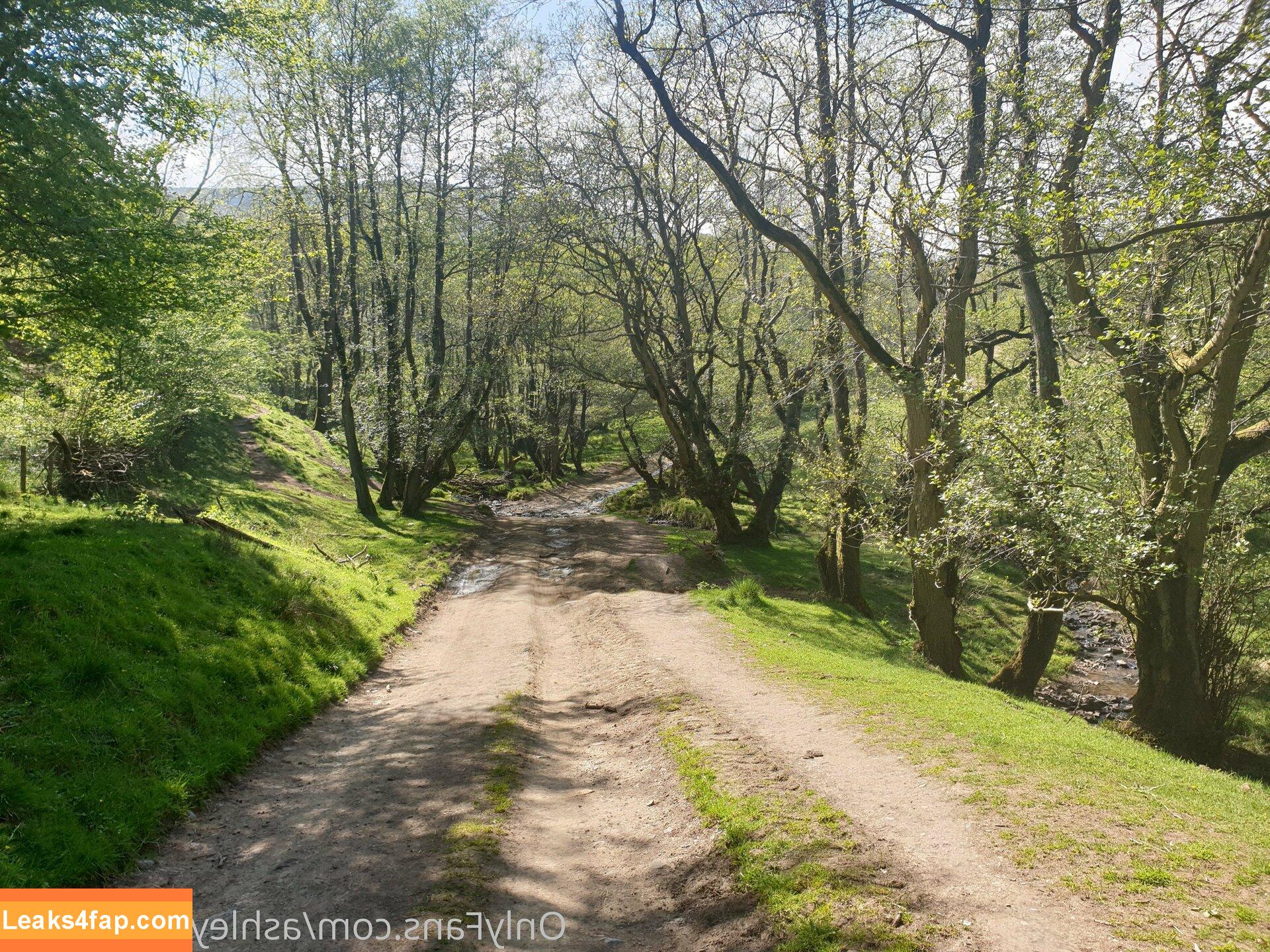 Ashley Ashton / aka Aston Wilde / ashleyashton222 leaked photo photo #0339