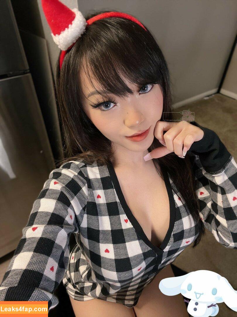 Asian Beauties /  leaked photo photo #0267
