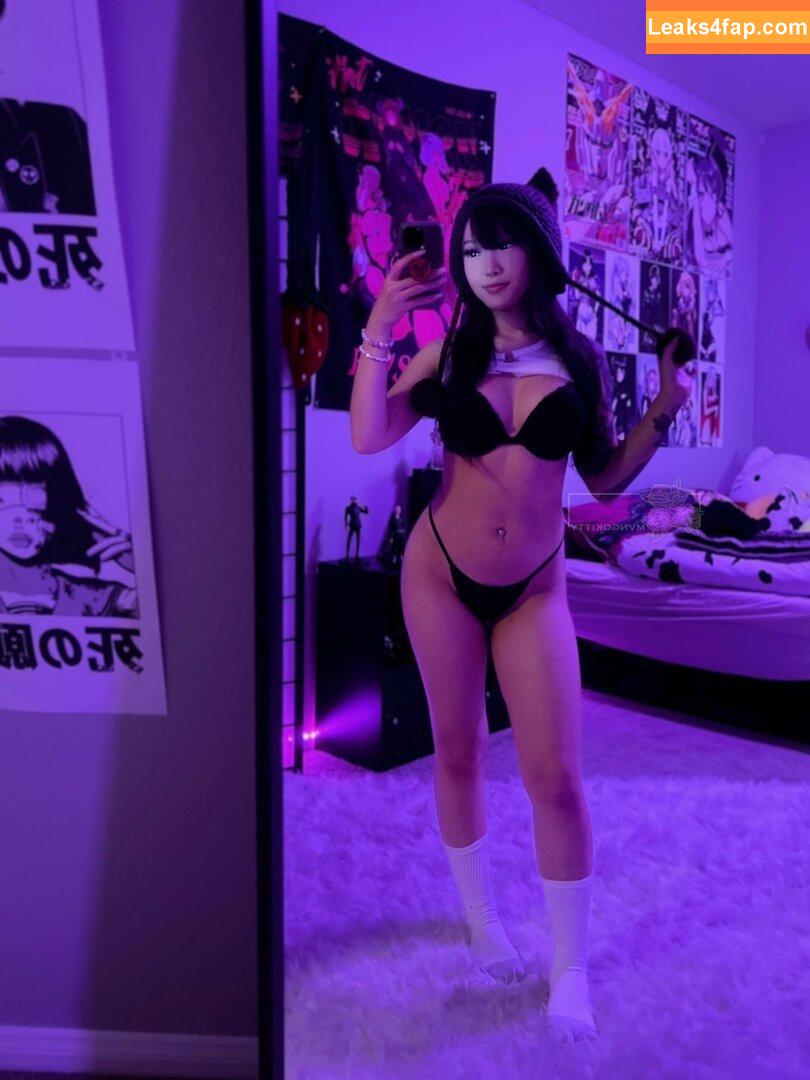 Asian Beauties /  leaked photo photo #0282