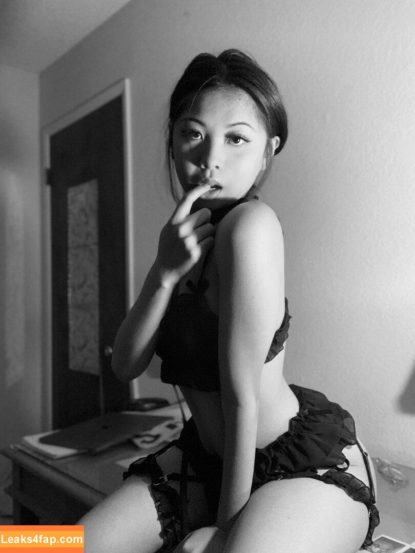 Asian Beauties /  слитое фото фото #0524