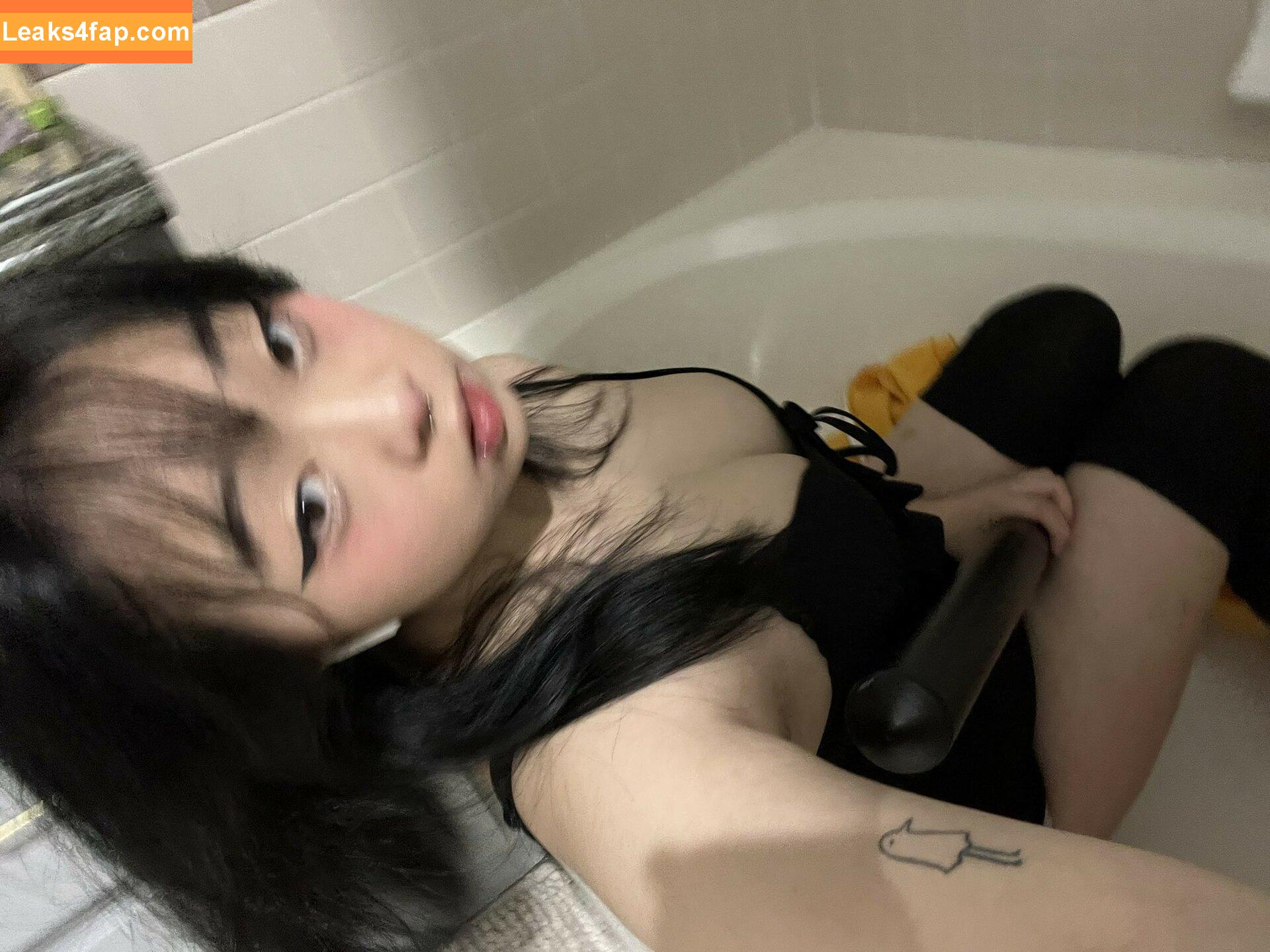 Asian Beauties /  leaked photo photo #0531