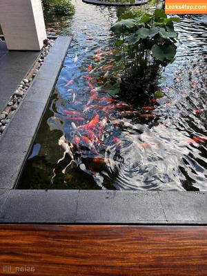 asian_lili photo #0042