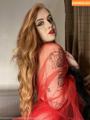 athenaaster photo #0025