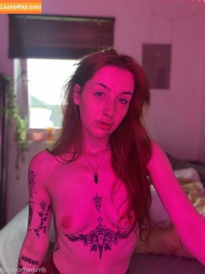 athenaaster photo #0089