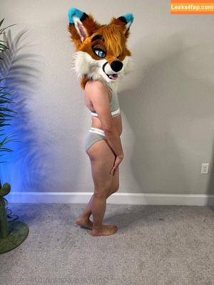 autumnfoxad photo #0042