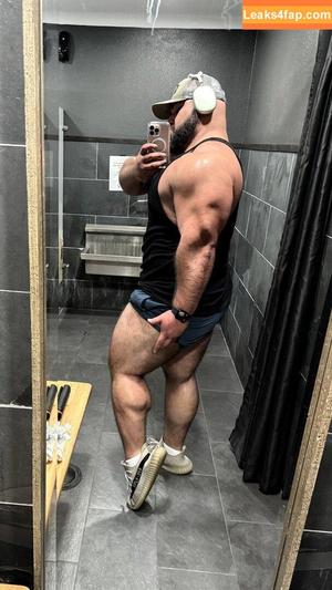 avidshock photo #0002