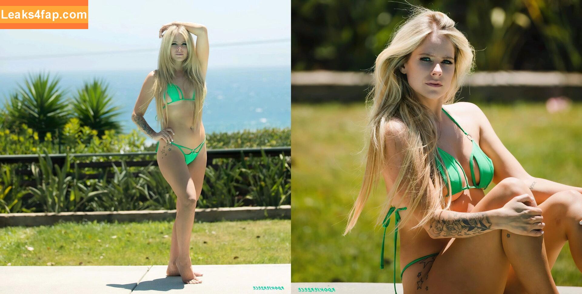 Avril Lavigne / AvrilLavigne leaked photo photo #0248