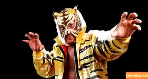 Babestation studio66 photo #0903