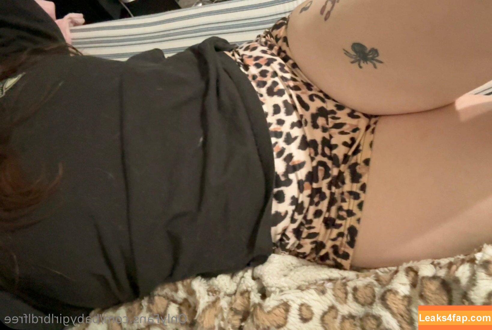 babygirlbrdlfree / bbgbrdl leaked photo photo #0124