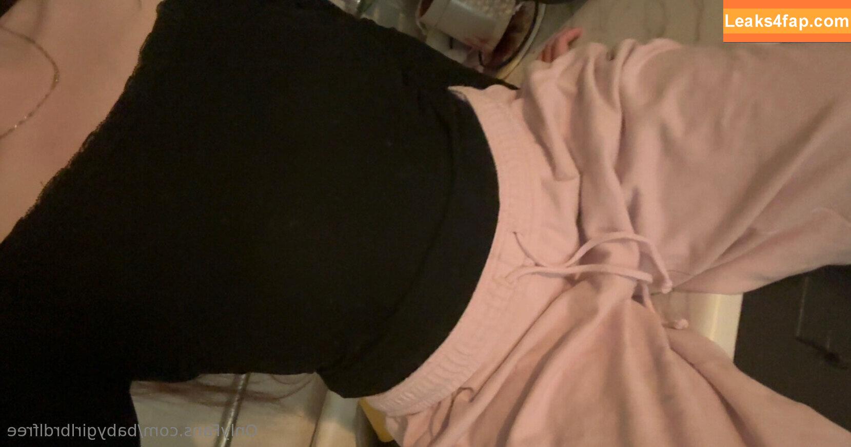 babygirlbrdlfree / bbgbrdl leaked photo photo #0127