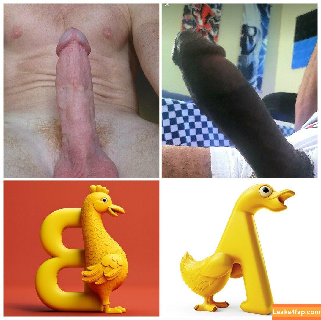 banginpromos / banginpromotions_ leaked photo photo #0096