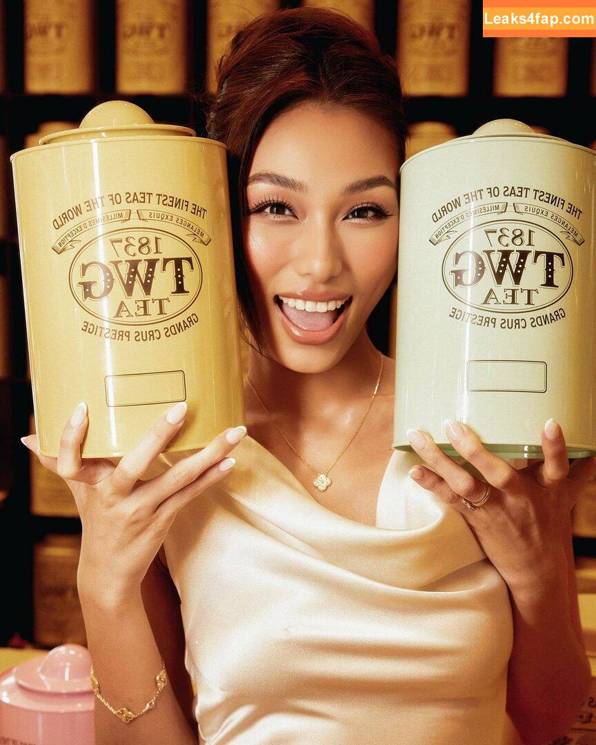 Bao Ngoc Ngo / ngocmintmint слитое фото фото #0020