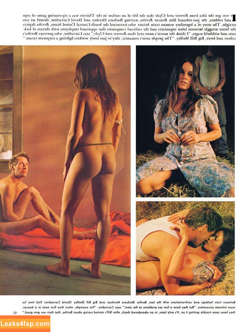 Barbara Hershey /  leaked photo photo #0002