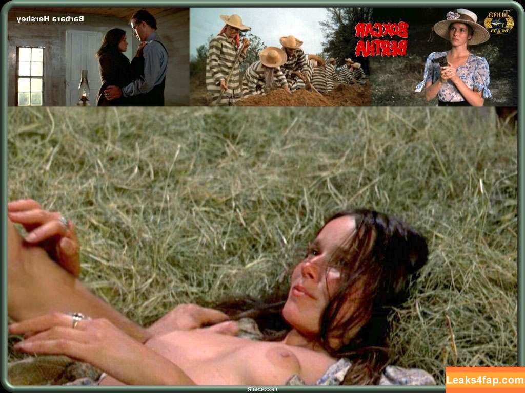 Barbara Hershey /  leaked photo photo #0013