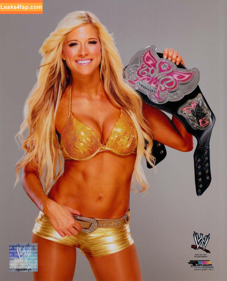 Barbie Blank / Kelly Kelly / TheBarbieBlank leaked photo photo #1129