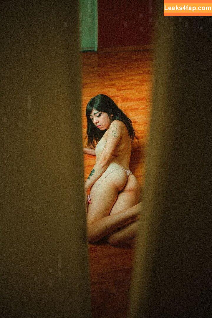 Basoofia / Sofia Rangel leaked photo photo #0035