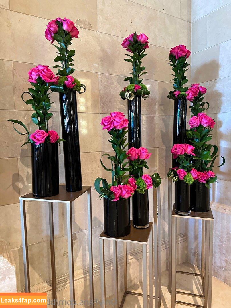 bbcloveslana / withloveleena leaked photo photo #0055