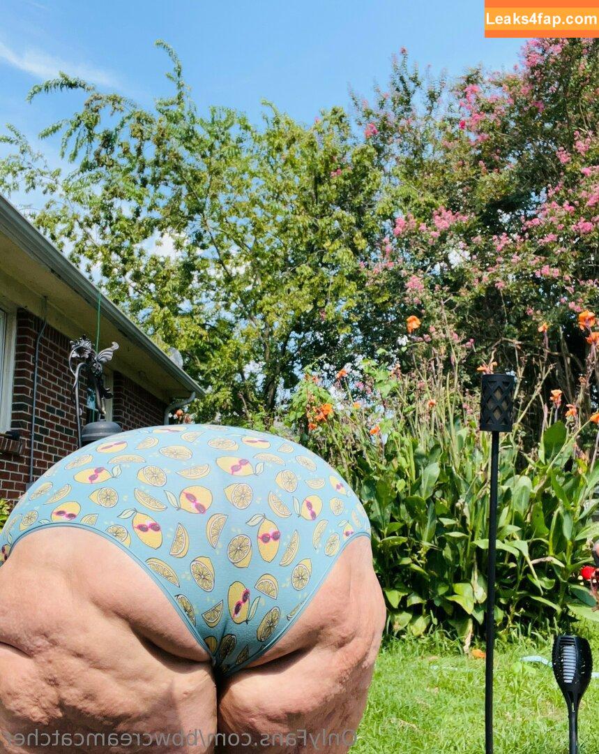 bbwcreamcatcher / bbwcream leaked photo photo #0074