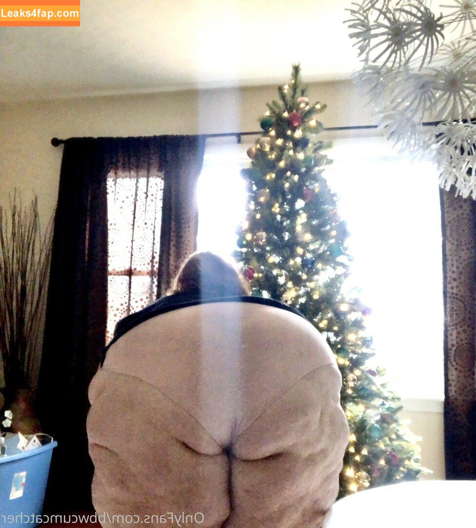 bbwcreamcatcher / bbwcream leaked photo photo #0106