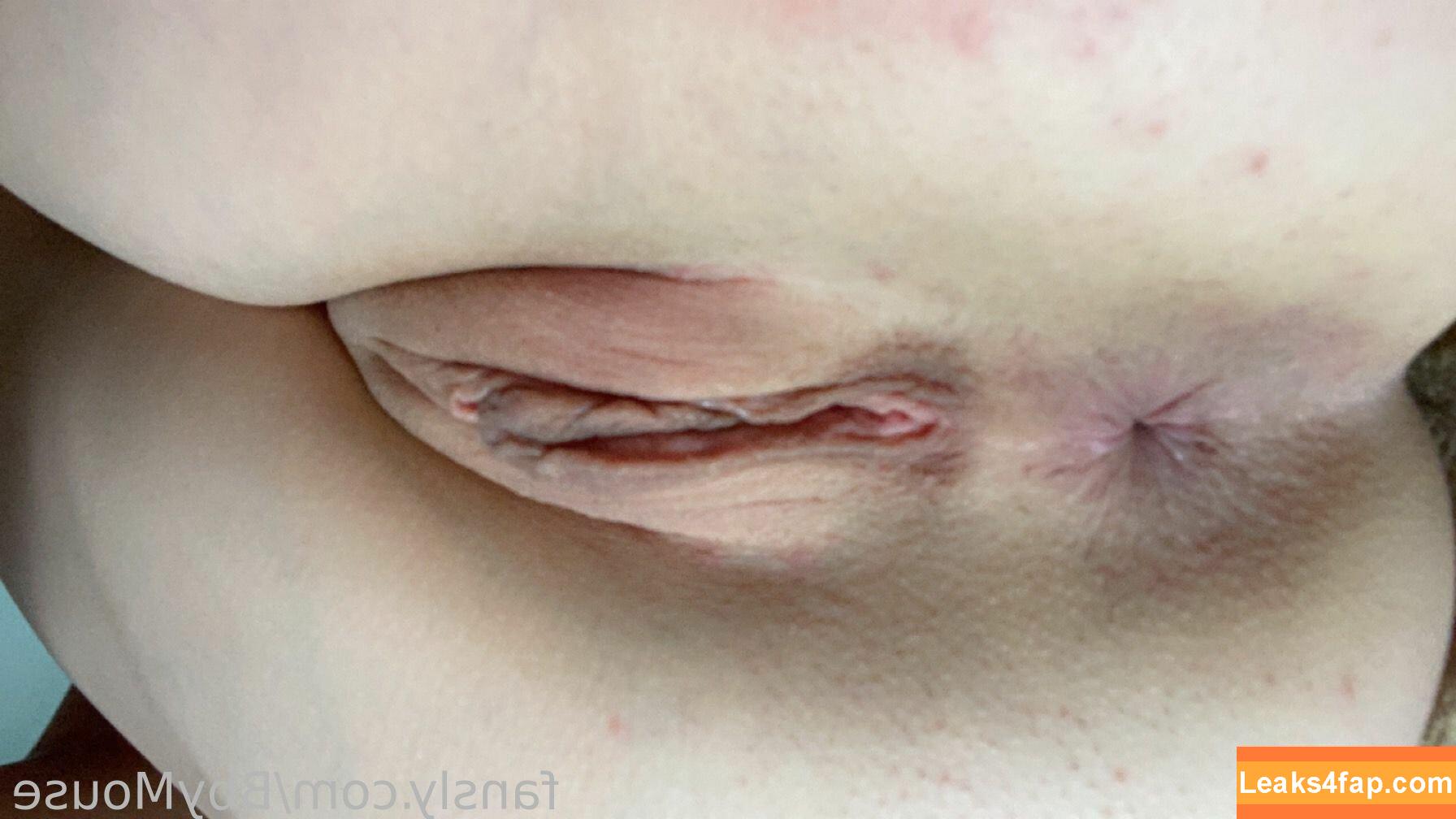 BbyMouse / _bbymouse_ leaked photo photo #0044