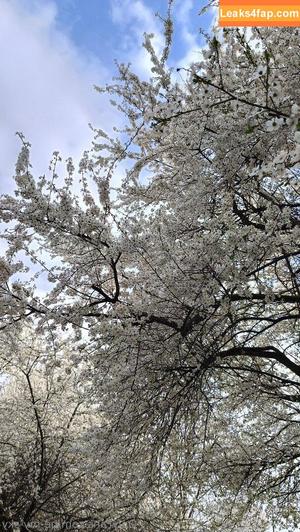 be-my-sky photo #0029