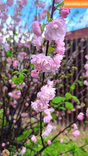 be-my-sky photo #0032