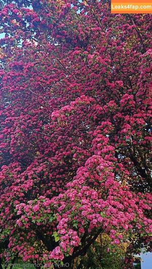 be-my-sky photo #0040