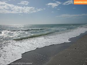 bee88i photo #0008