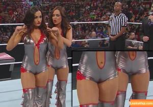 Bella Twins photo #0003