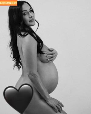 Bella Twins photo #0014