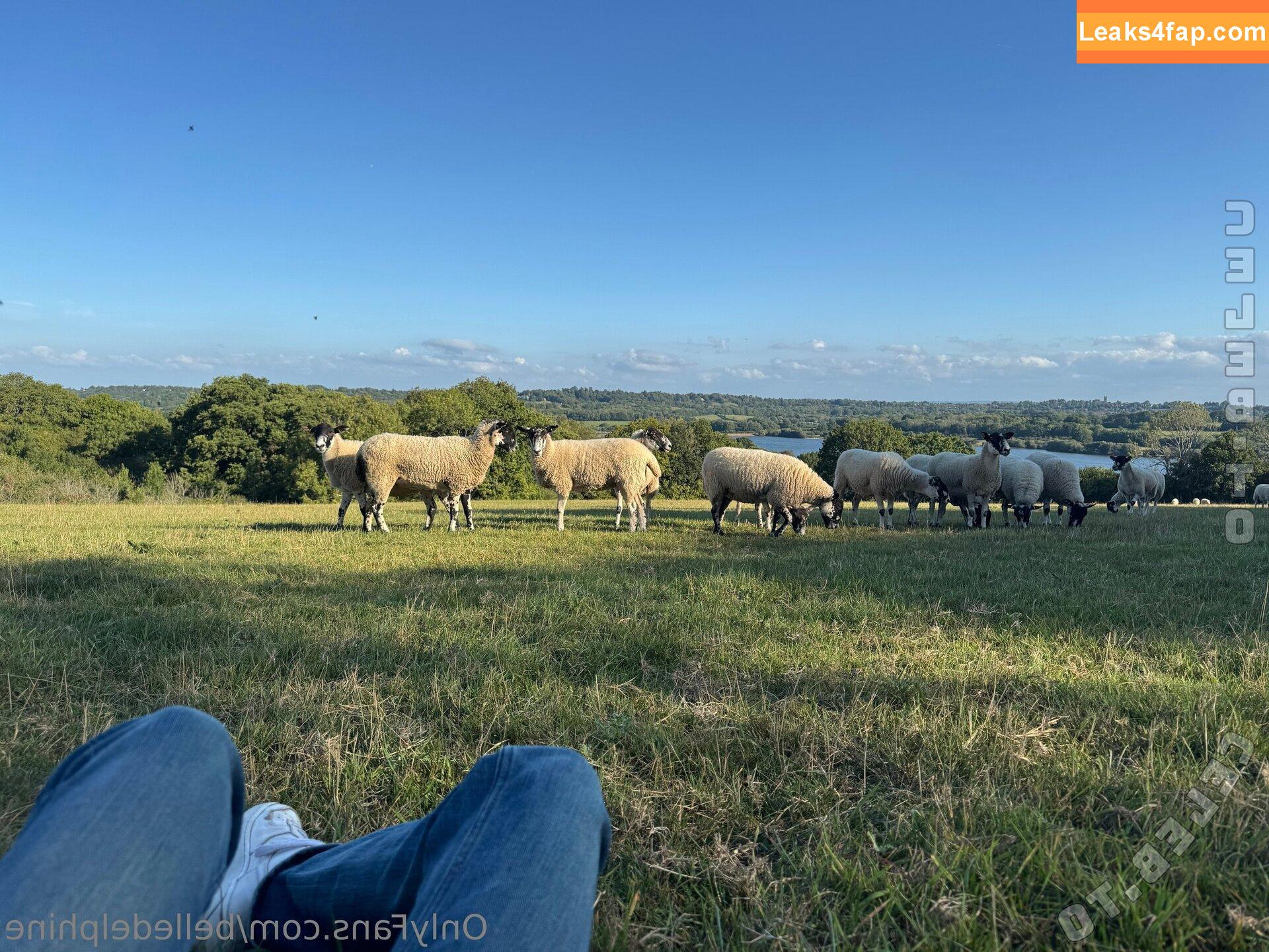 Belle Delphine / Socials / belle.delphine / belledelphine / bunnydelphine слитое фото фото #10217