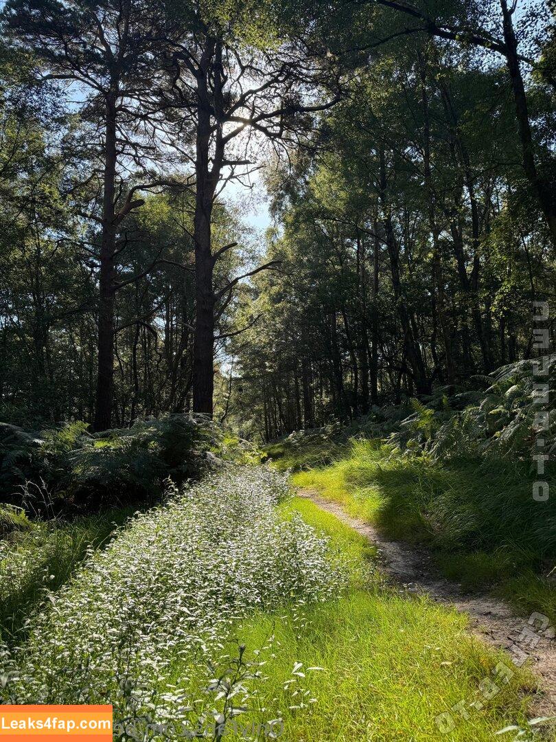 Belle Delphine / Socials / belle.delphine / belledelphine / bunnydelphine слитое фото фото #10224