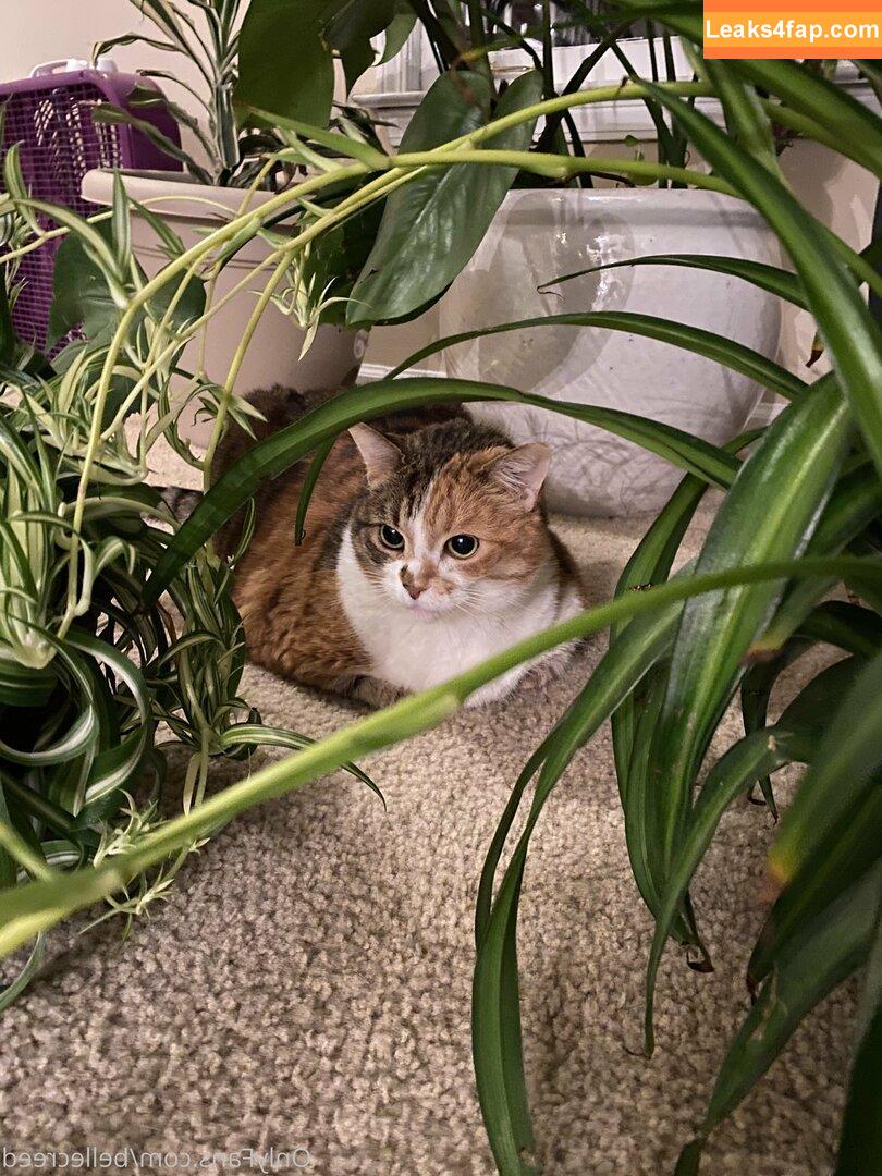 bellecreed / only_belle_creed слитое фото фото #0156