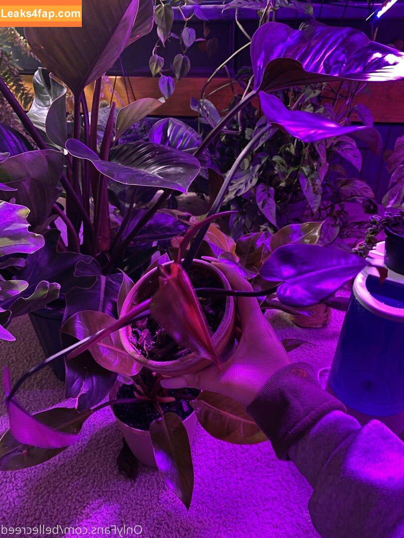 bellecreed / only_belle_creed слитое фото фото #0173