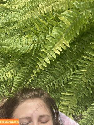 bellecreed фото #0163