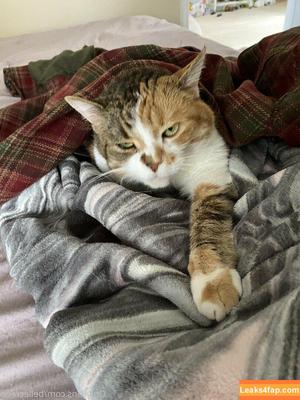 bellecreed фото #0169