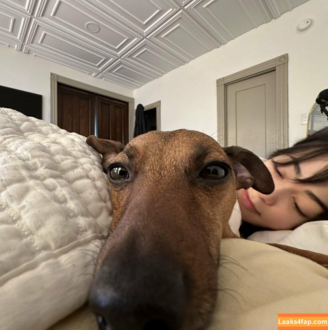 Betas Inferno / Betas_Inferno leaked photo photo #1104