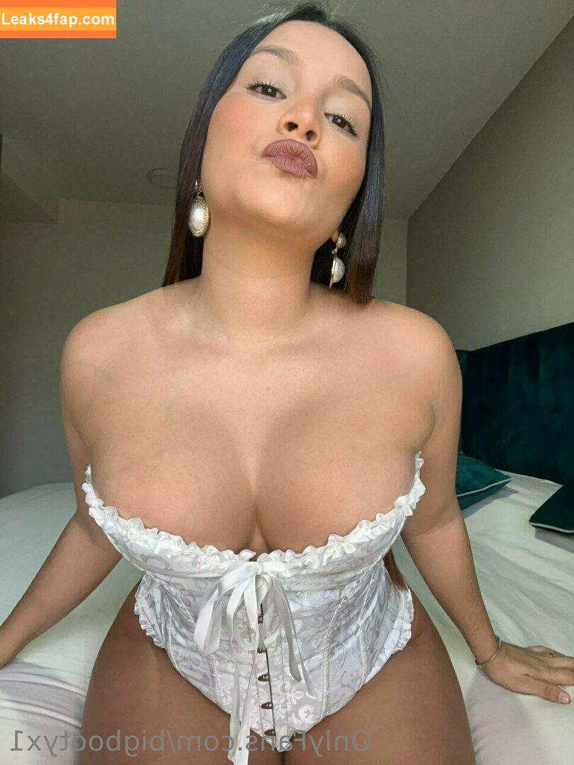 bigbootyx1 / bigbootysx1 leaked photo photo #0522