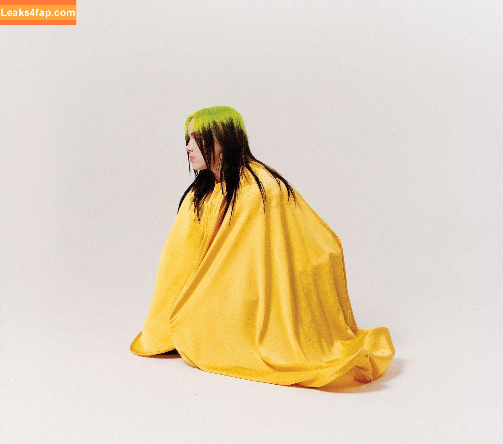 Billie Eilish / Fake / billeeilish / billieeilish leaked photo photo #0059