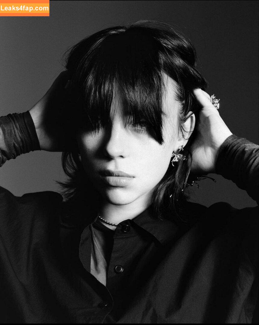 Billie Eilish / Fake / billeeilish / billieeilish leaked photo photo #0123