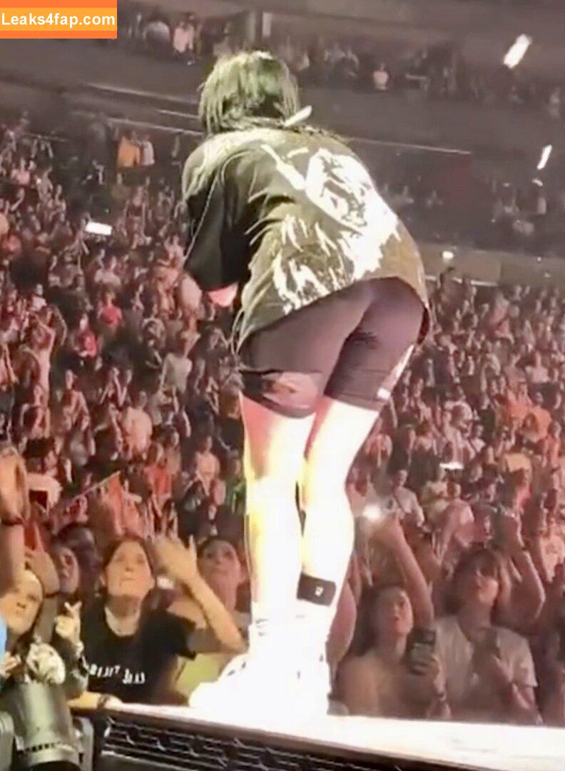 Billie Eilish / Fake / billeeilish / billieeilish leaked photo photo #0141