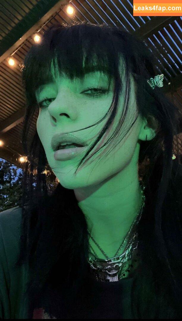Billie Eilish / Fake / billeeilish / billieeilish leaked photo photo #0292