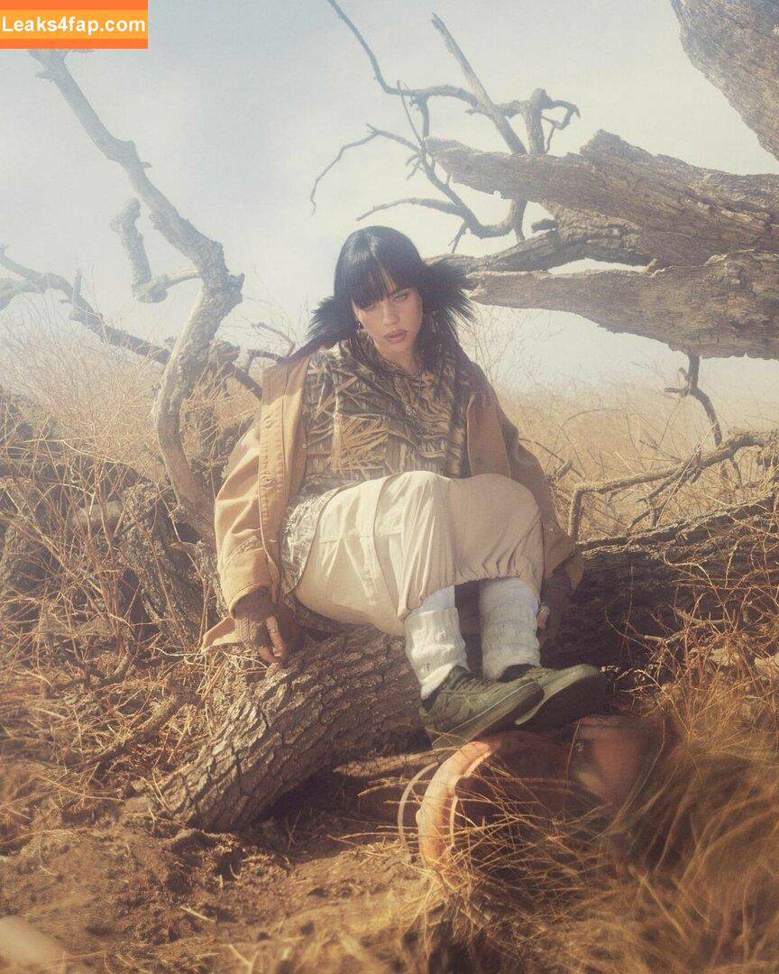 Billie Eilish / Fake / billeeilish / billieeilish слитое фото фото #0377