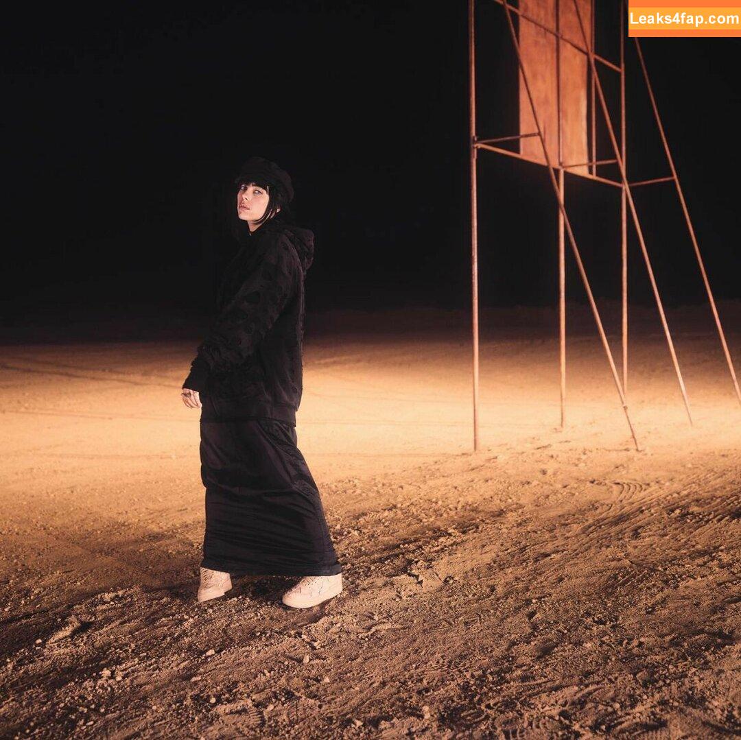Billie Eilish / Fake / billeeilish / billieeilish слитое фото фото #0378