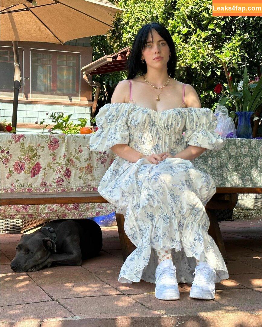 Billie Eilish / Fake / billeeilish / billieeilish leaked photo photo #0576