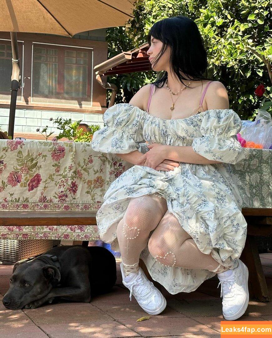 Billie Eilish / Fake / billeeilish / billieeilish leaked photo photo #0577