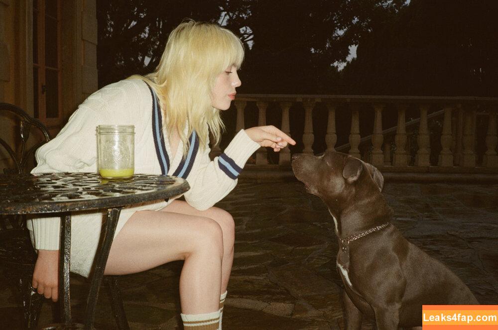 Billie Eilish / Fake / billeeilish / billieeilish слитое фото фото #1024