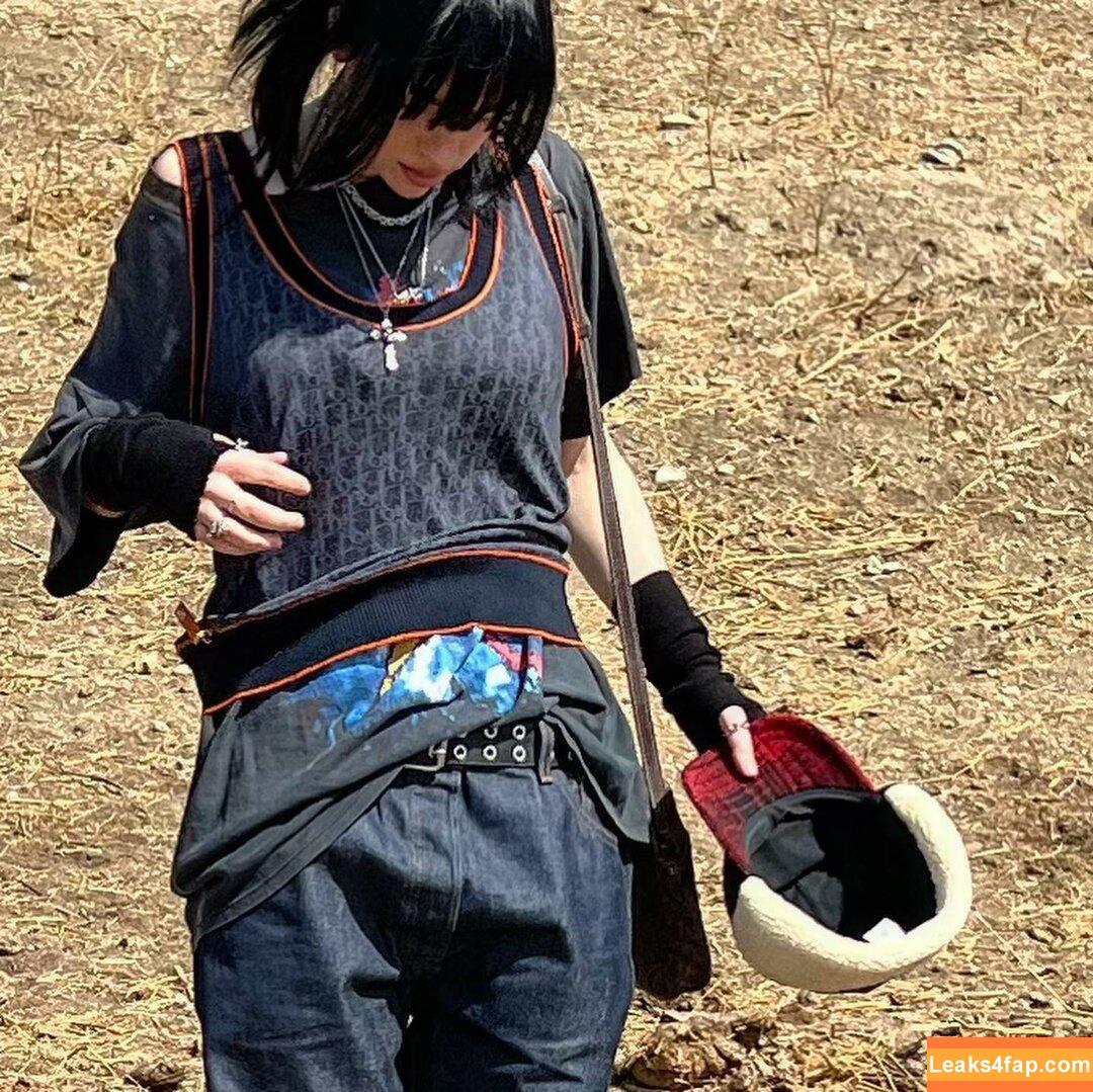 Billie Eilish / Fake / billeeilish / billieeilish слитое фото фото #2079