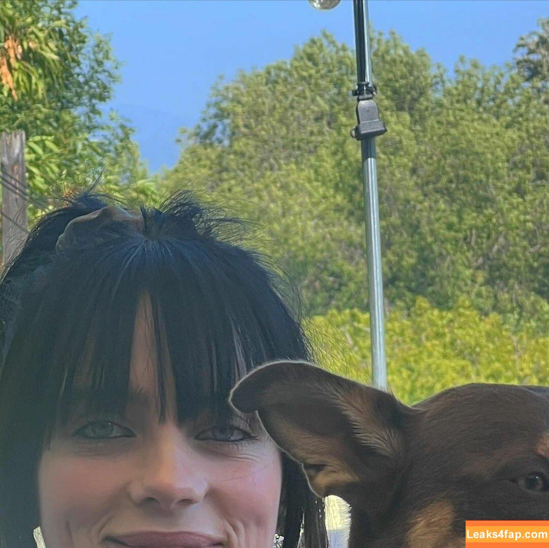 Billie Eilish / Fake / billeeilish / billieeilish leaked photo photo #2238